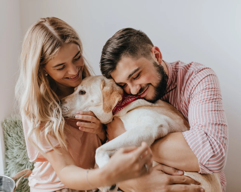 automatic feeder for dogs