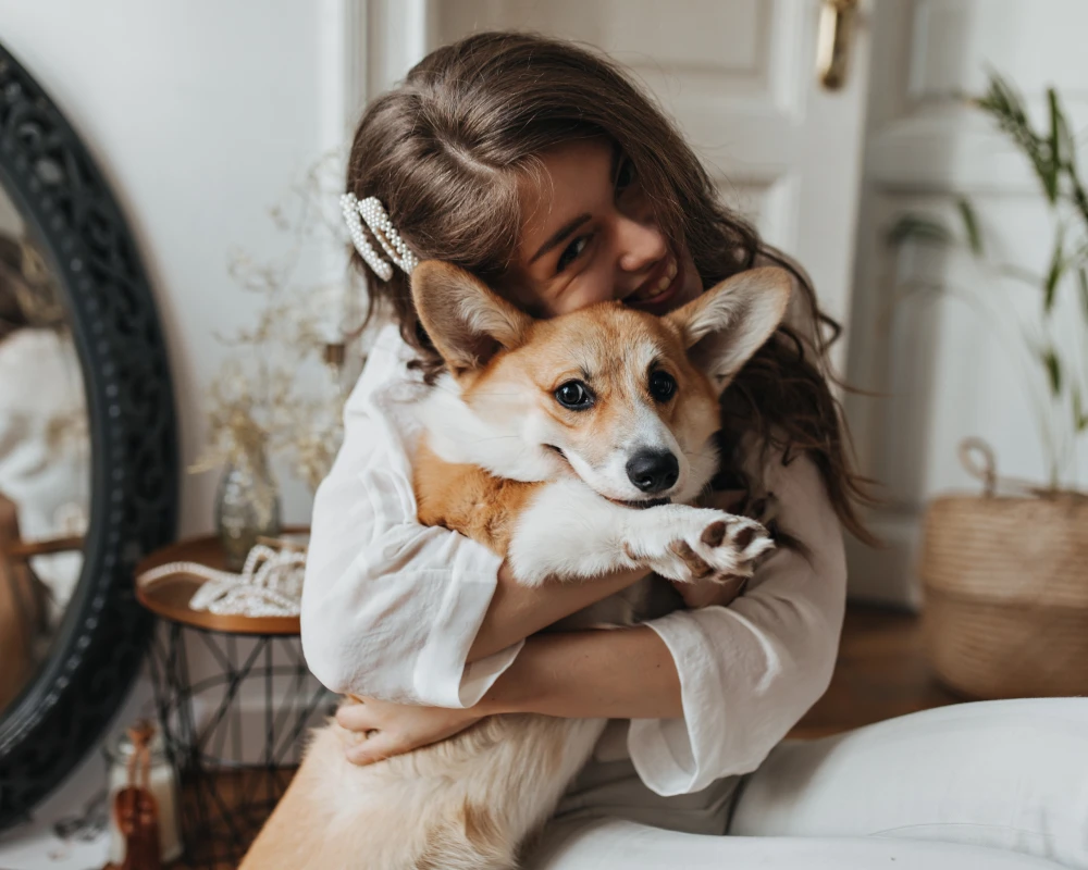 automatic dog feeder and water